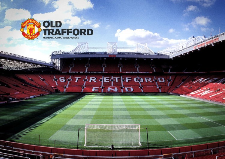 这种坦诚的 这种坦诚的