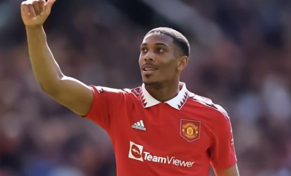 不僅會減少 不僅會減少